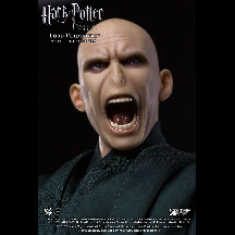LORD VOLDEMORT 1: 8